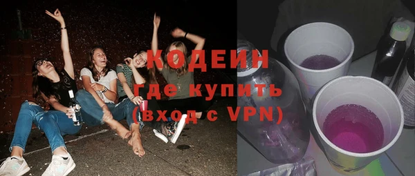 хмурый Тайга