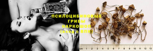 каннабис Тавда