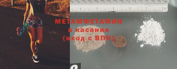 прущие грибы Балабаново