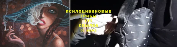 шишки Балахна