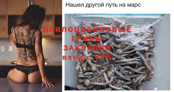 шишки Балахна