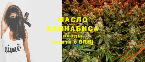 хмурый Тайга