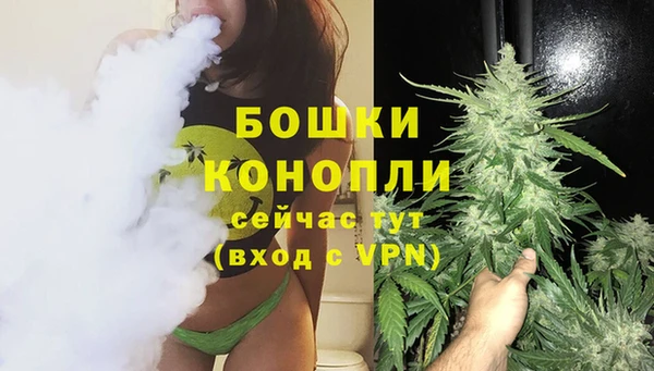 прущие грибы Балабаново
