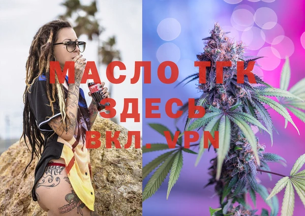 хмурый Тайга