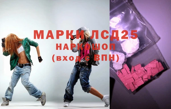 шишки Балахна