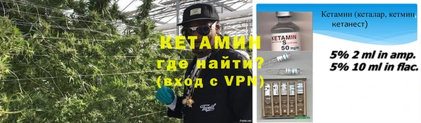 прущие грибы Балабаново