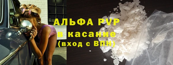 шишки Балахна