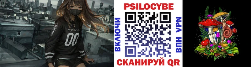 Купить где  Кимовск  Галлюциногенные грибы мицелий 
